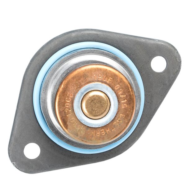 THERMOSTAT ASSY