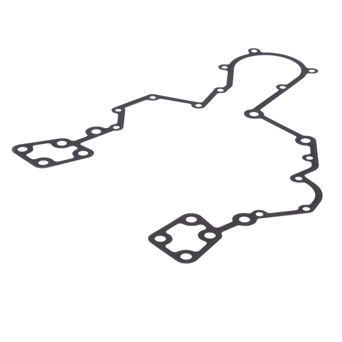 GASKET TIMING CASE
