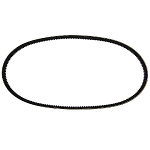 FAN BELT