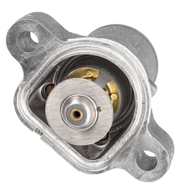 THERMOSTAT ASSY