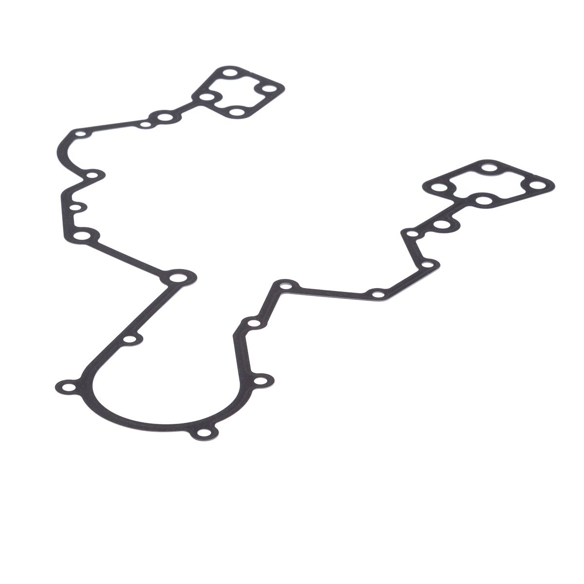 GASKET TIMING CASE