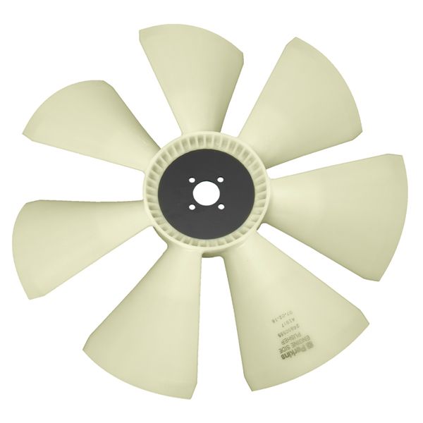 FAN