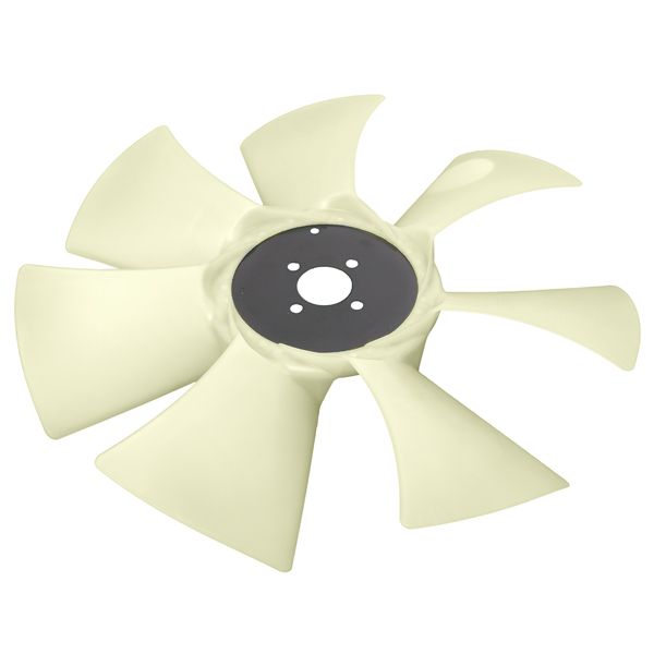 FAN